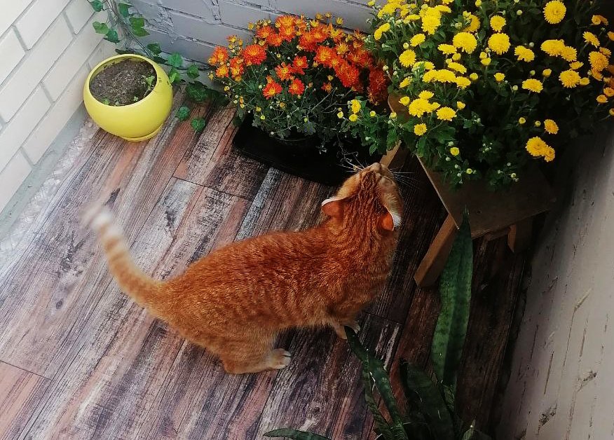 Фото: ИА UssurMedia (18+)