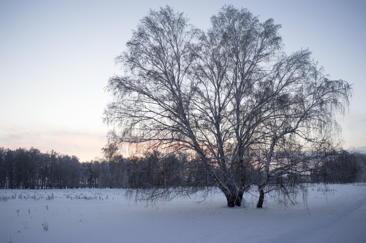 . Евгений Овдеенко, ИА OmskMedia