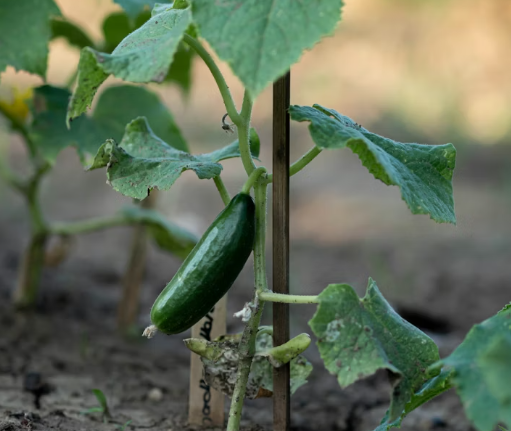 Тематическое фото Unsplash.com (18+)