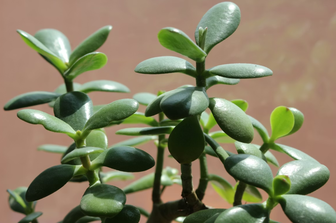 Тематическое фото unsplash (18+)