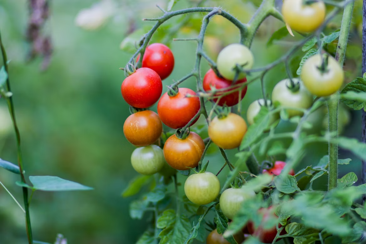 Тематическое фото unsplash (18+)