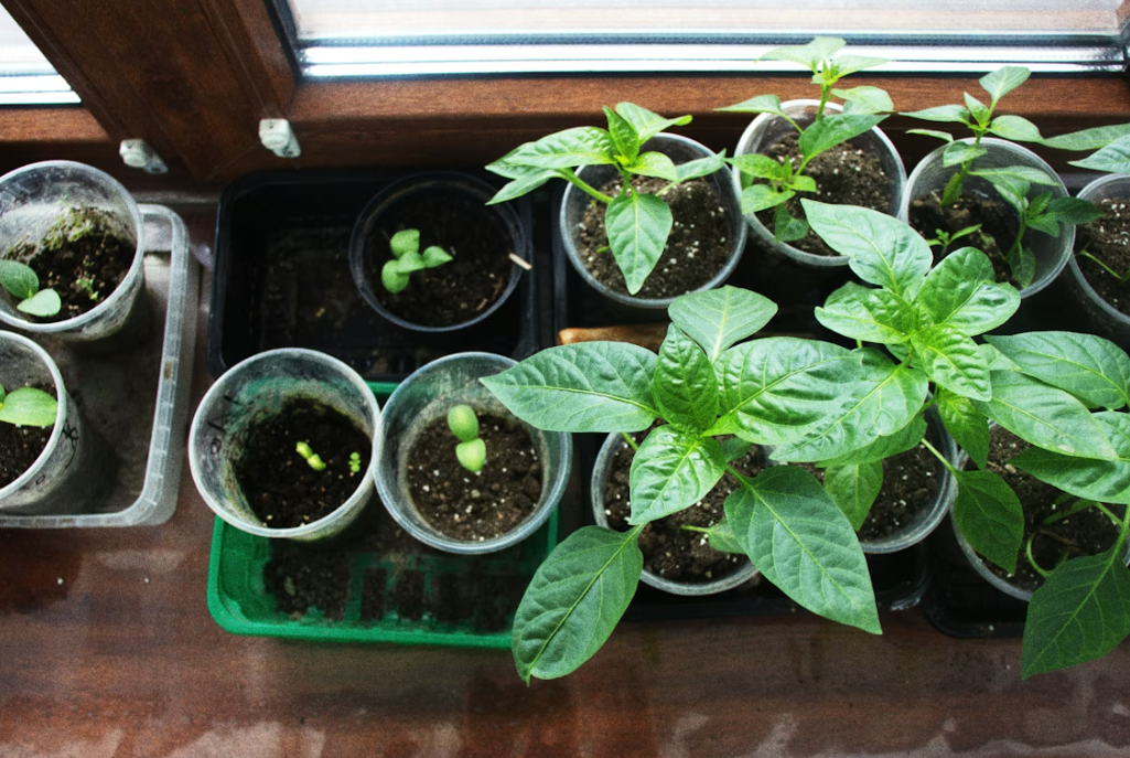 Тематическое фото Unsplash.com (18+)