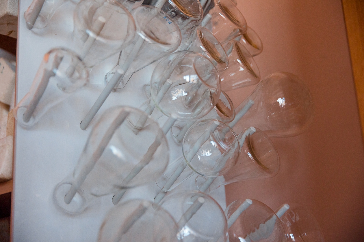 пробирка, пробирки, колба, анализ, анализы, лаборатория, исследование Илья Аверьянов, ИА PrimaMedia