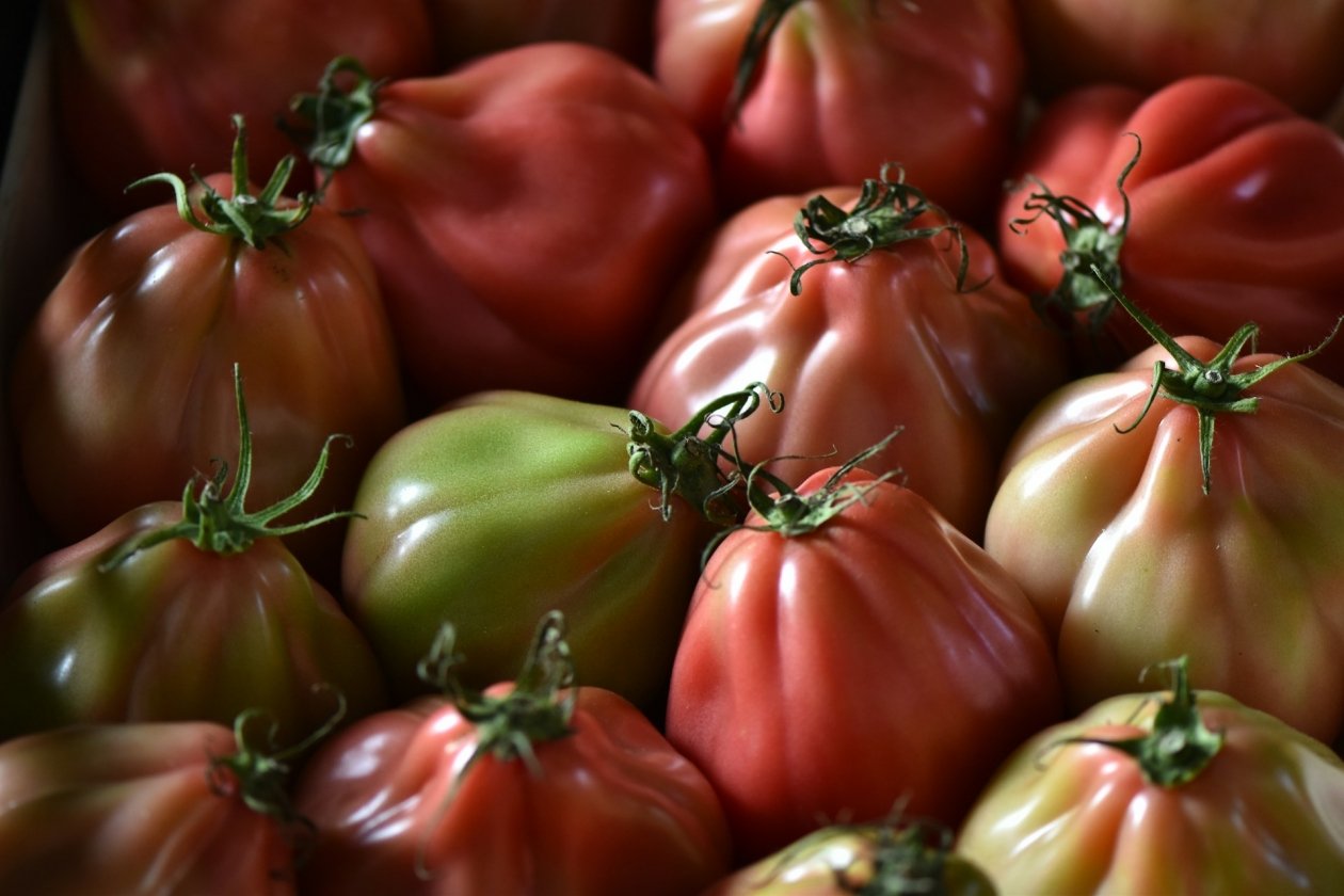 Тематическое фото unsplash(18+)