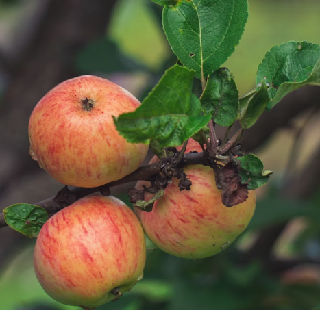 Тематическое фото Unsplash.com (18+)