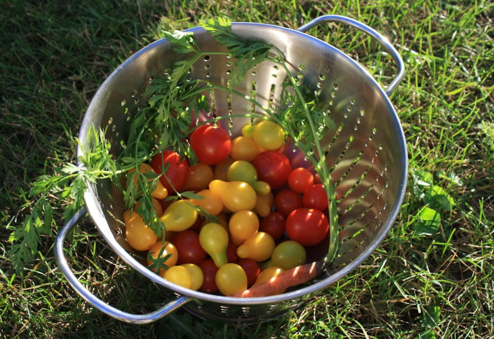 Тематическое фото Unsplash.com (18+)