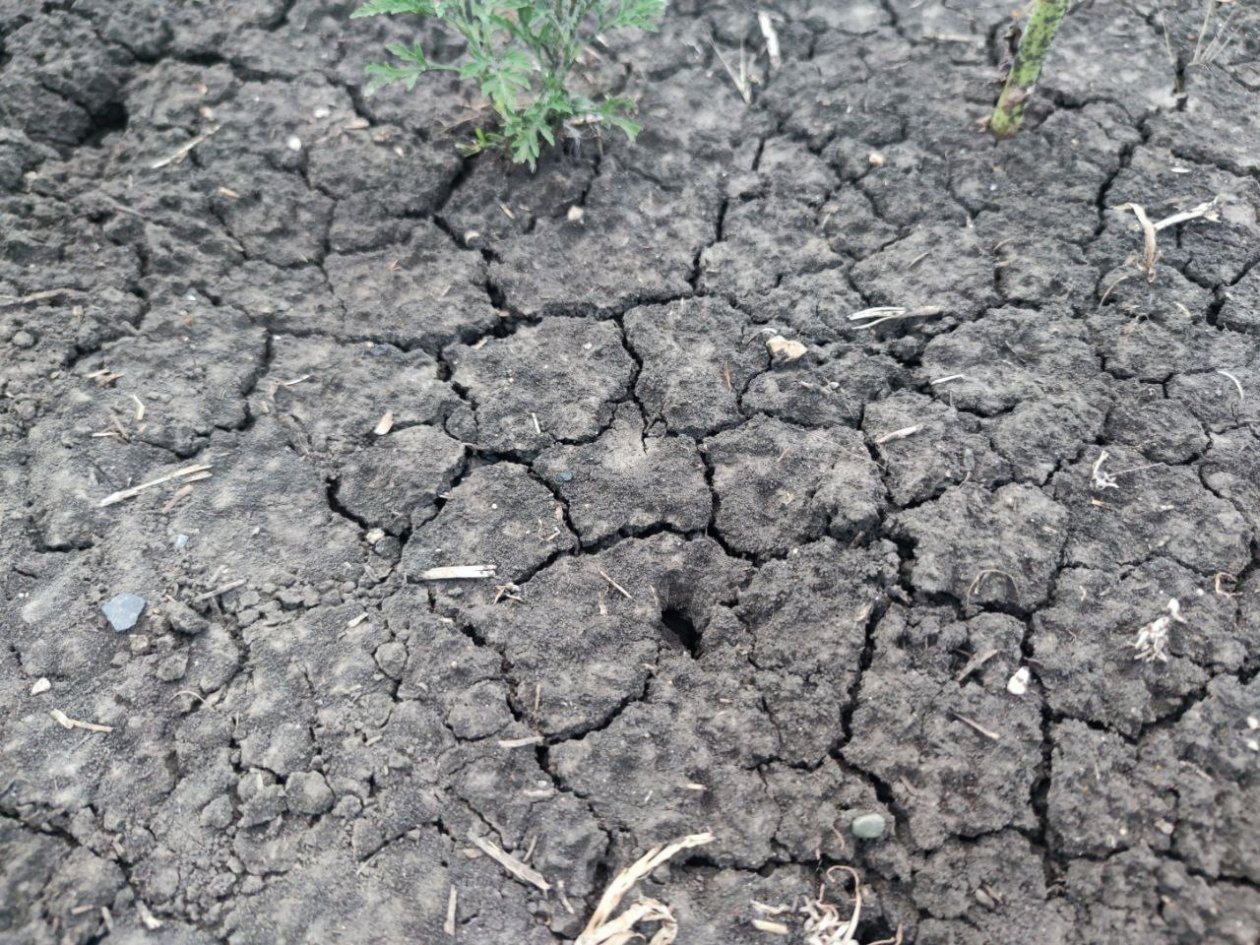 Землетрясение магнитудой 3,4 произошло утром 13 февраля ИА Stavropol.Media