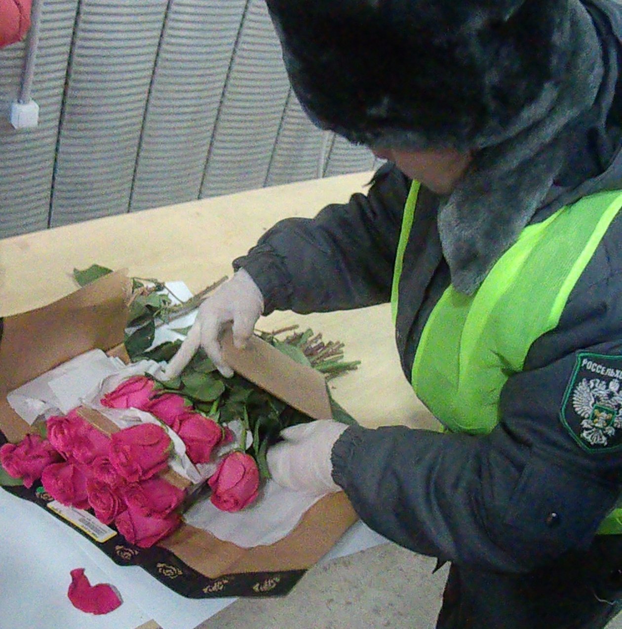 В Бурятии разрешили ввезти эквадорские розы из Монголии Россельхознадзор