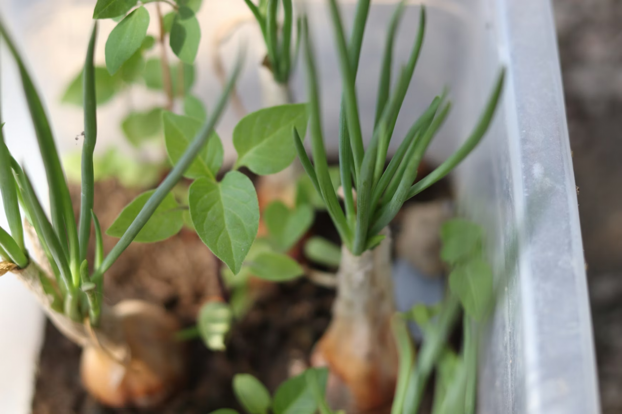 Тематическое фото unsplash.com