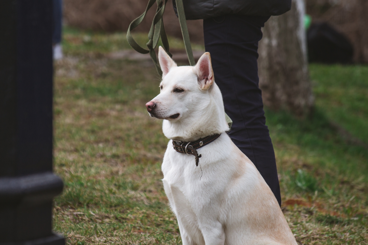 Владислав Беляцкий