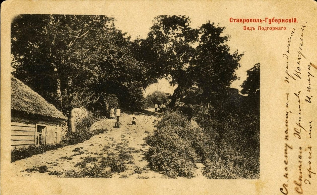 предоставлено музейно-выставочным комплексом 