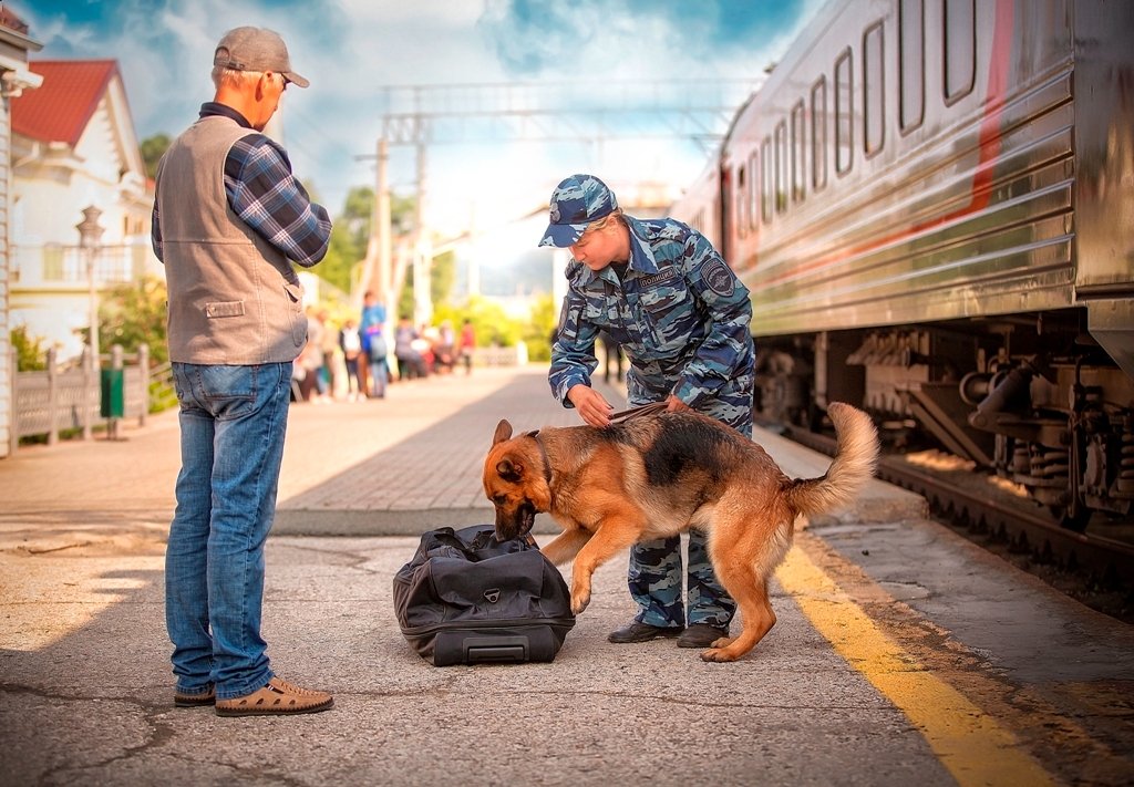 Управление на транспорте МВД России по ДФО