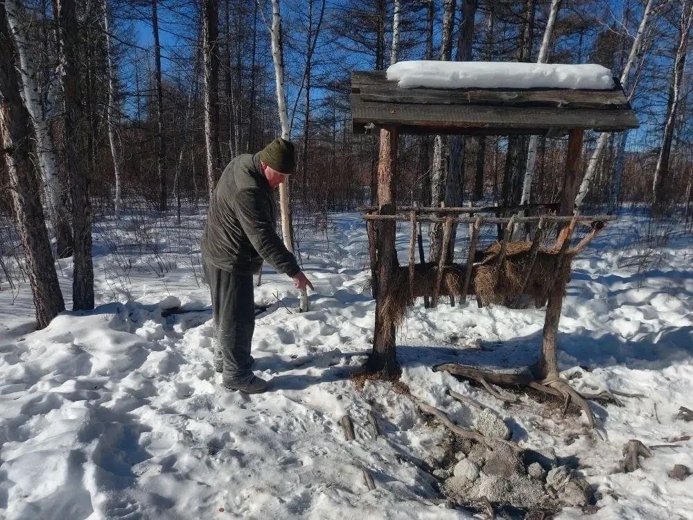 Зимний учёт пресс-службы Минприроды Забайкалья