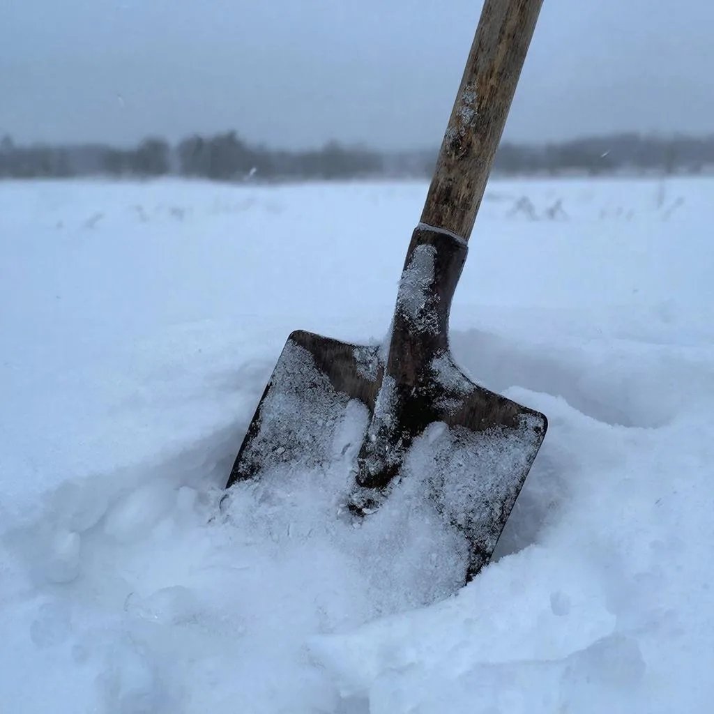 Тематическое изображение Создано с помощью нейросети Gigachat (18+)
