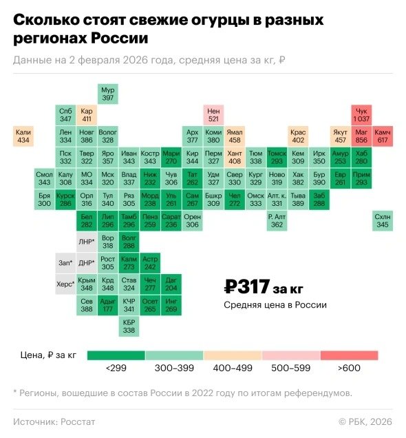 Инфографика РБК (18+)