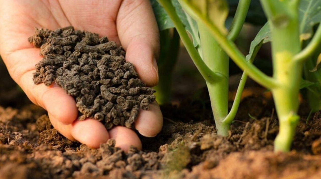 Тематическое фото Автор канала