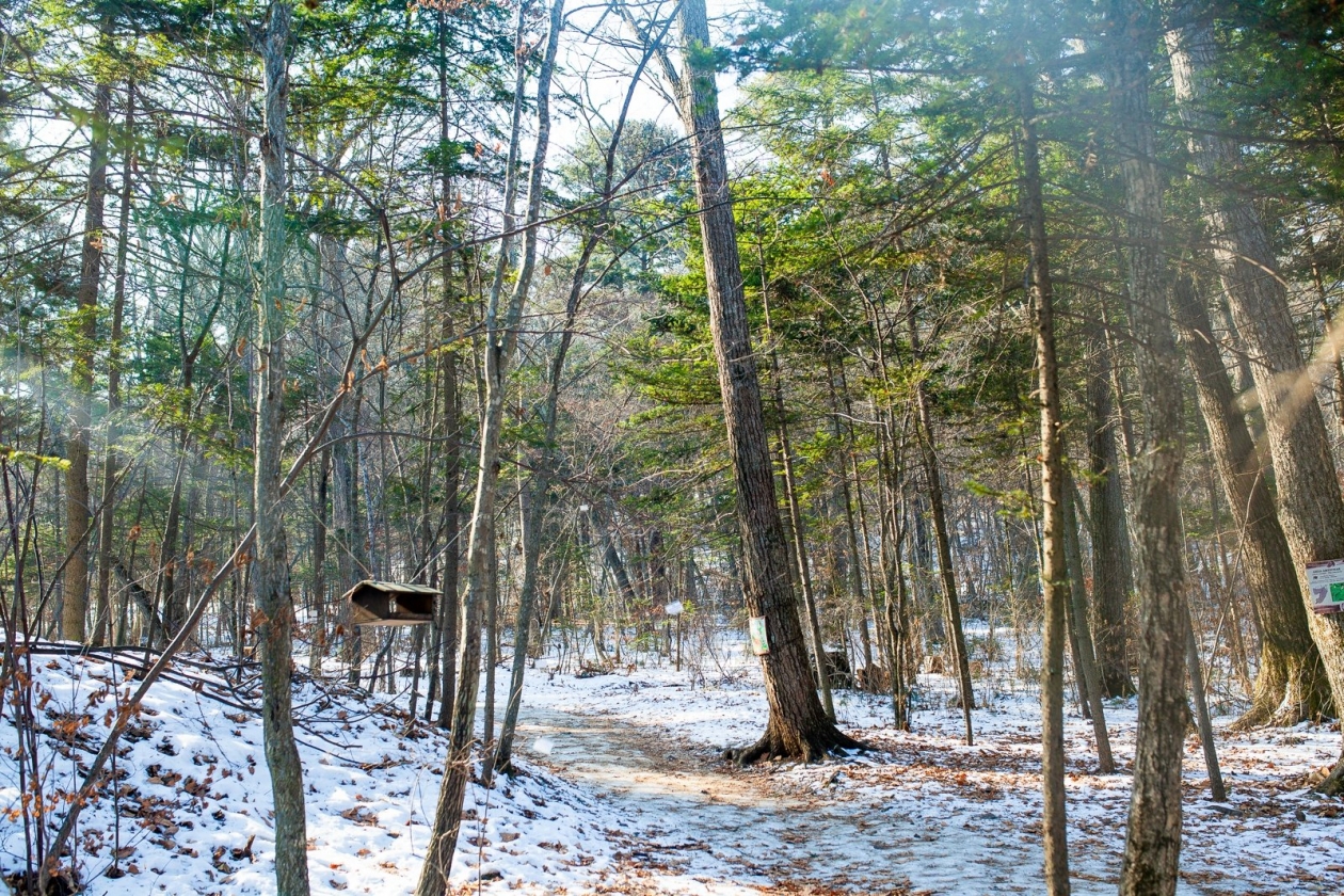 Незаконно переданный участок леса в Братском районе вернули государству Мария Смитюк, ИА PrimaMedia.ru