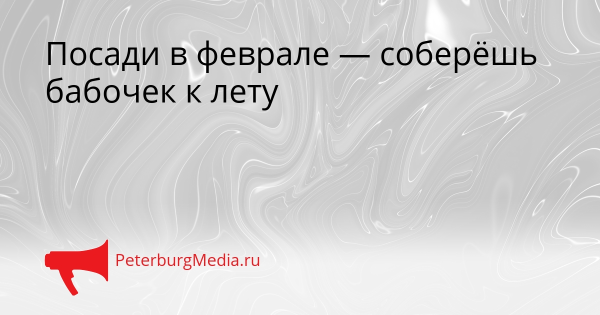 Посади в феврале — соберёшь бабочек к лету Сгенерировано