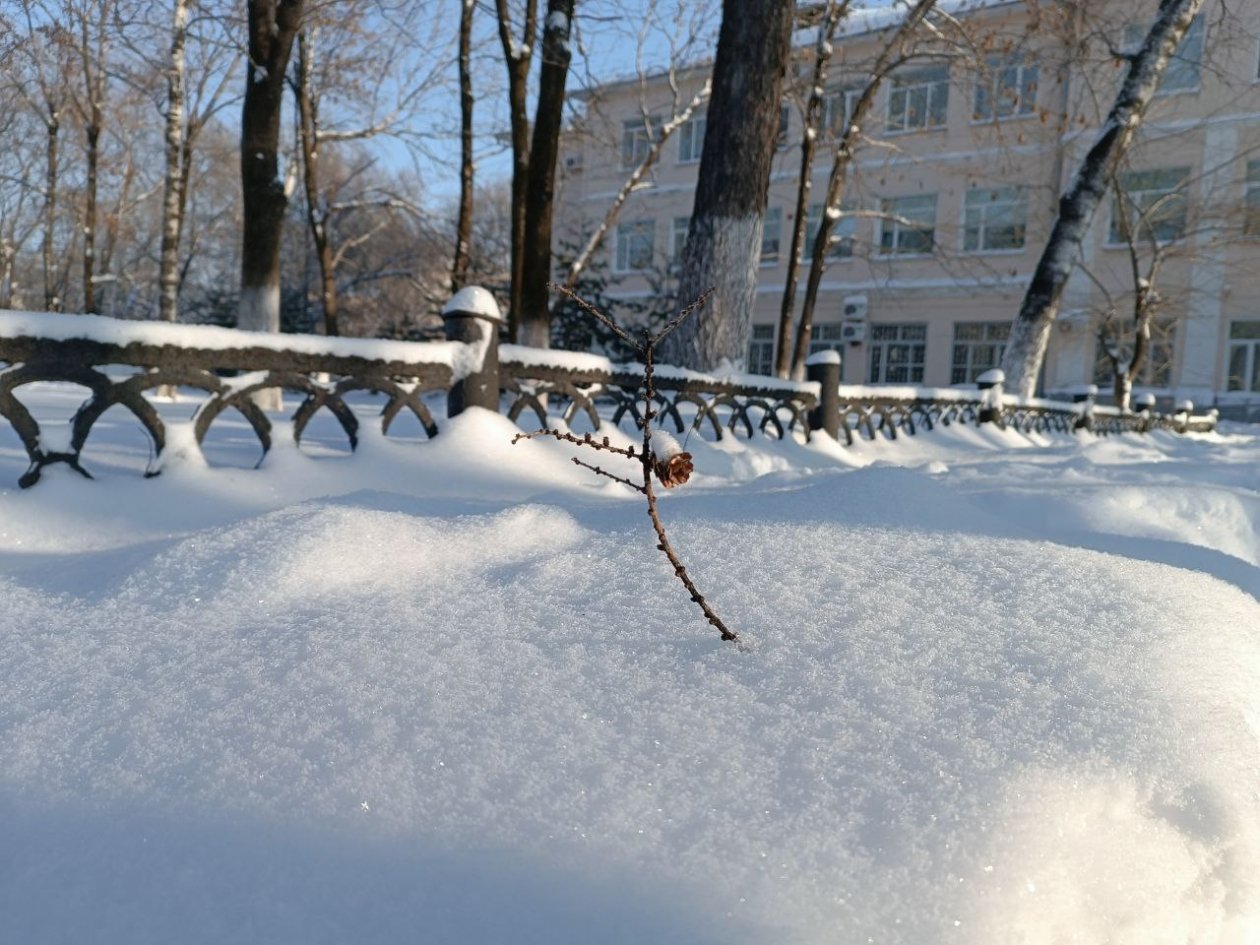 Тематическое фото ИА ЕАОMedia