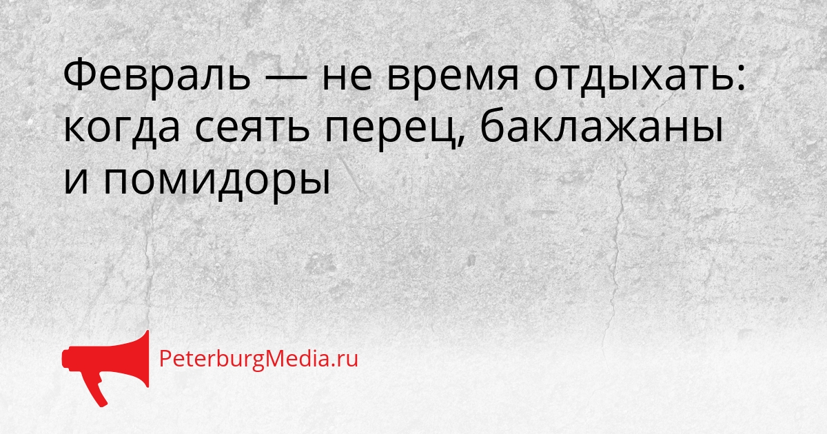 Февраль — не время отдыхать: когда сеять перец, баклажаны и помидоры Сгенерировано