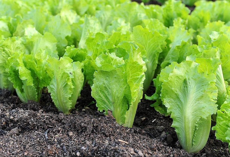 Тематическое фото Автор канала