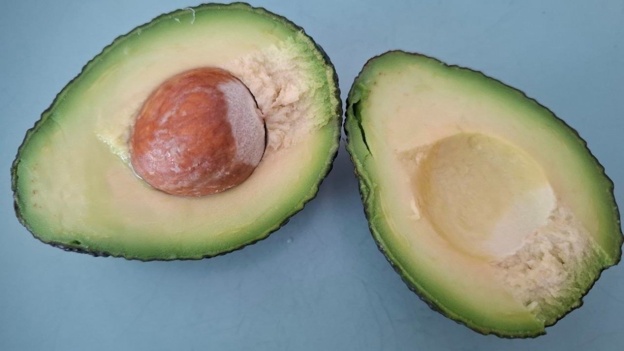 Зеленый оазис у вас дома: как вырастить авокадо из косточки без лишних хлопот ИА StavropolMedia