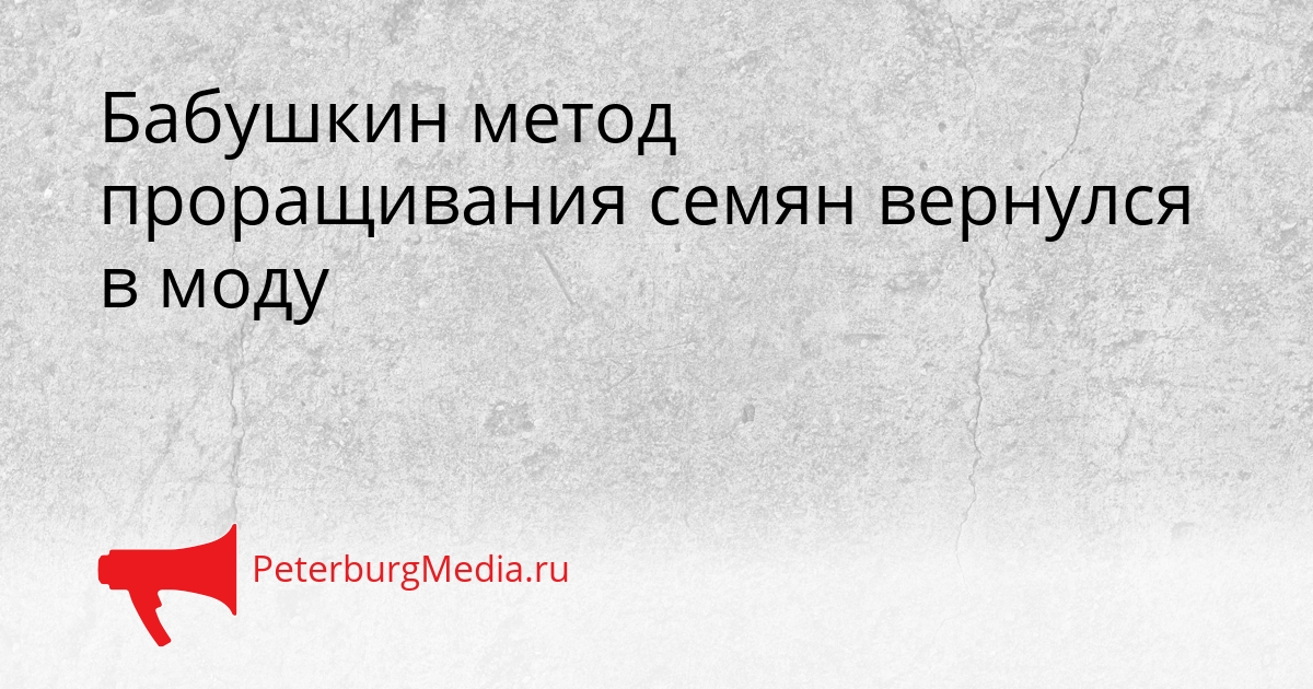 Бабушкин метод проращивания семян вернулся в моду Сгенерировано