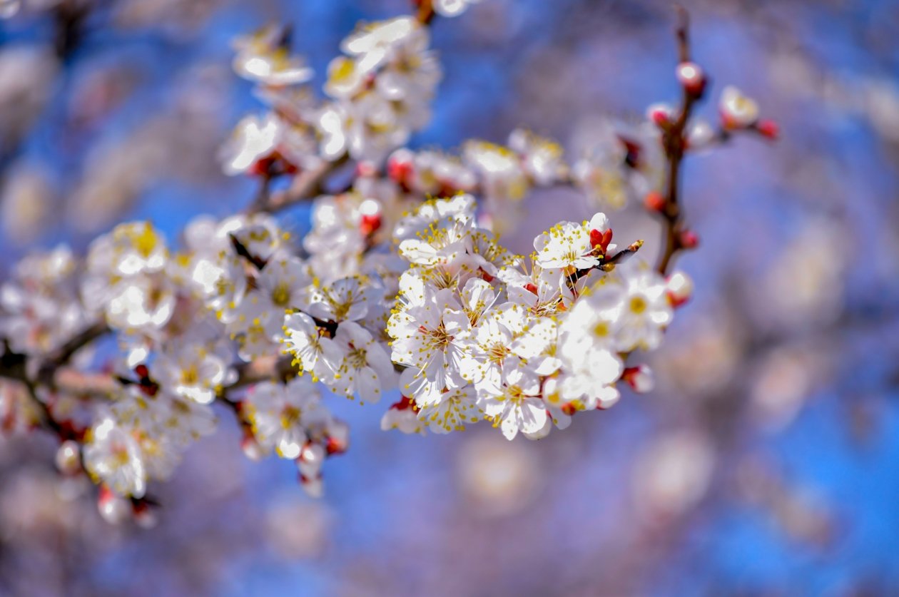 Тематическое фото unsplash.com