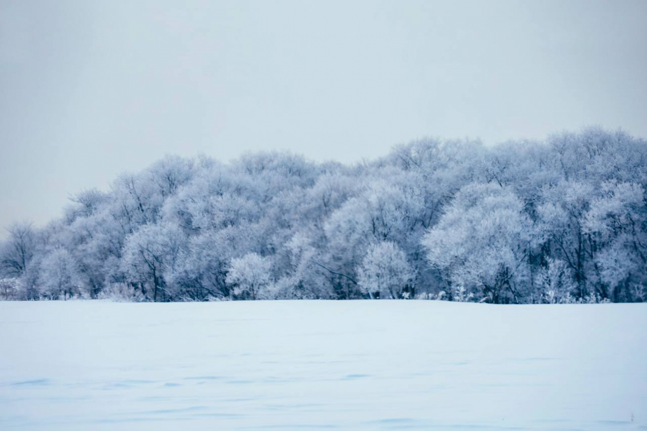 Сахалинский пейзаж t.me/mysakh (18+)