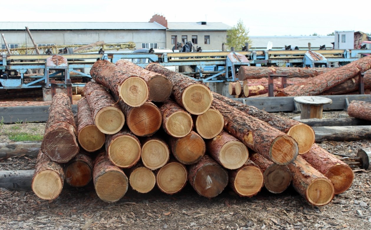 Тематическое фото Наталия Раткевич, ИА IrkutskMedia