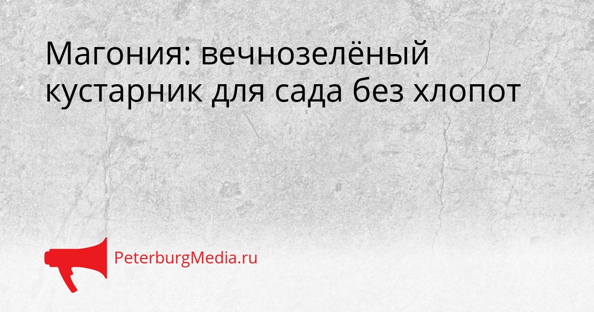Магония: вечнозелёный кустарник для сада без хлопот Сгенерировано