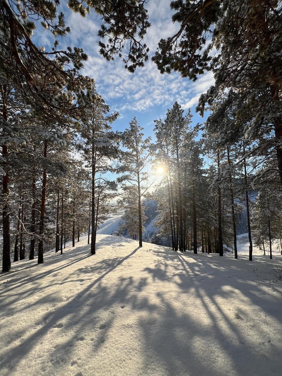 Гороскоп на 16 февраля: Этот день принесет ощущение ясности ИА YakutiaMedia