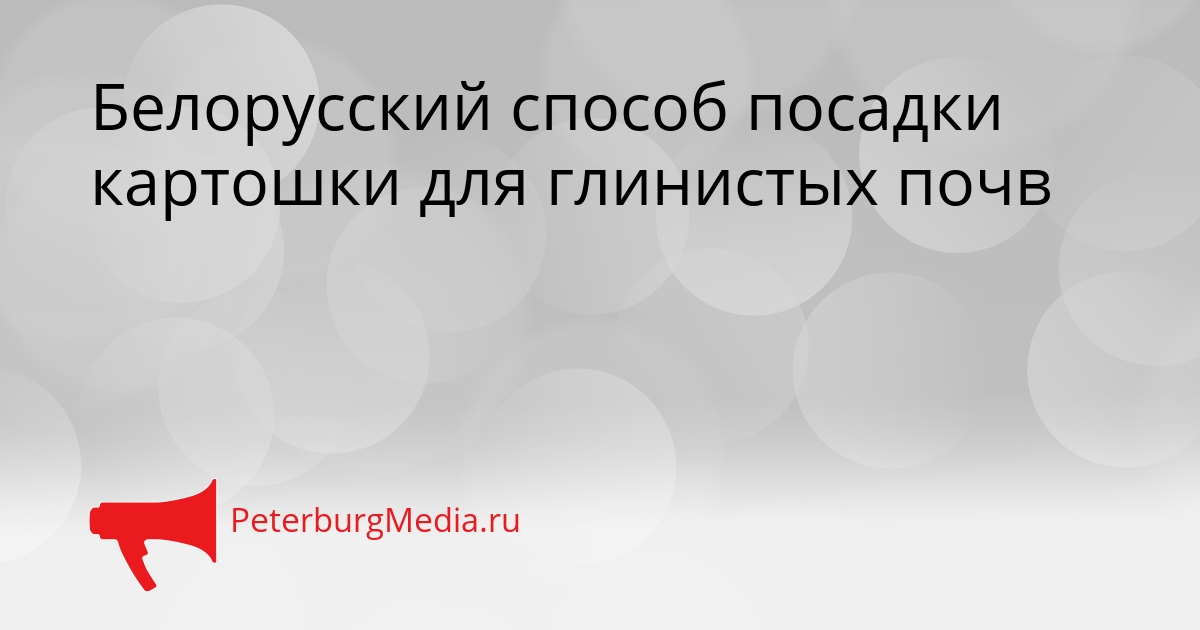 Белорусский способ посадки картошки для глинистых почв Сгенерировано