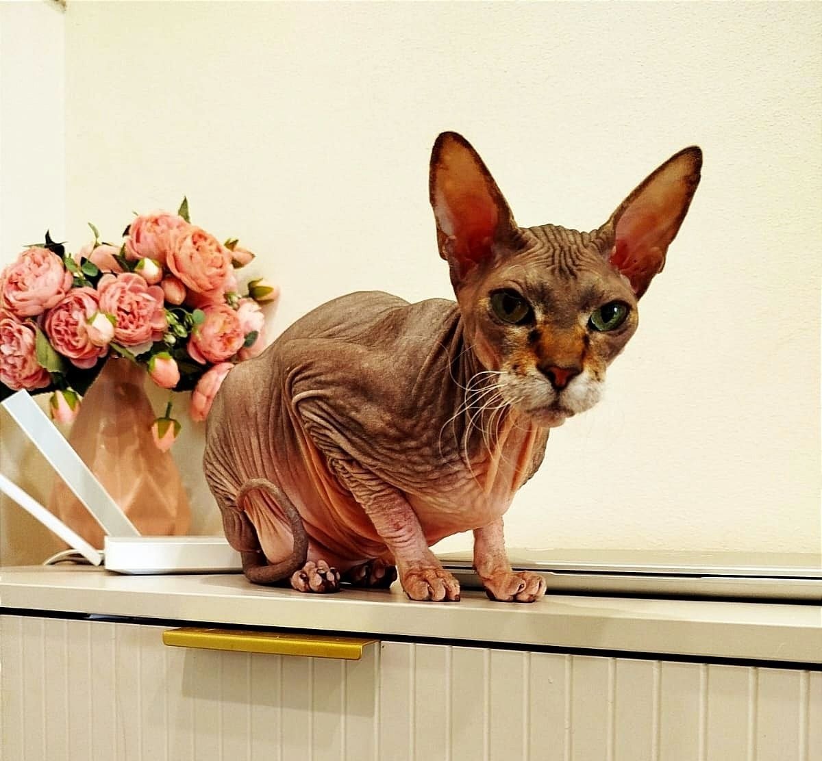 Тематическая иллюстрация Пресс-служба МТС