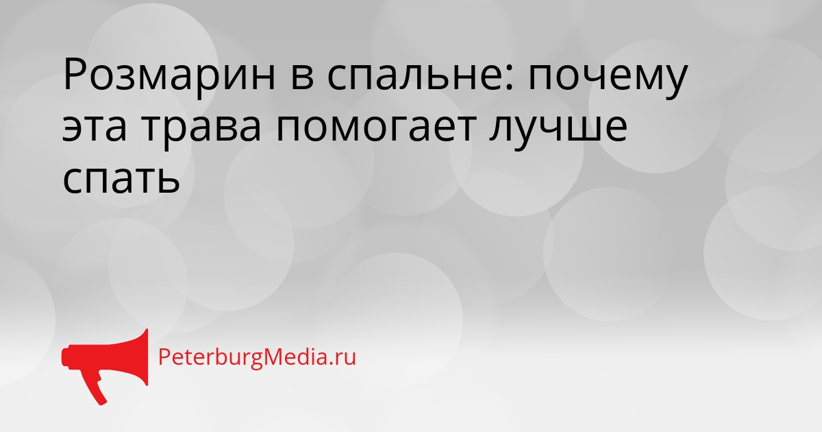 Розмарин в спальне: почему эта трава помогает лучше спать Сгенерировано