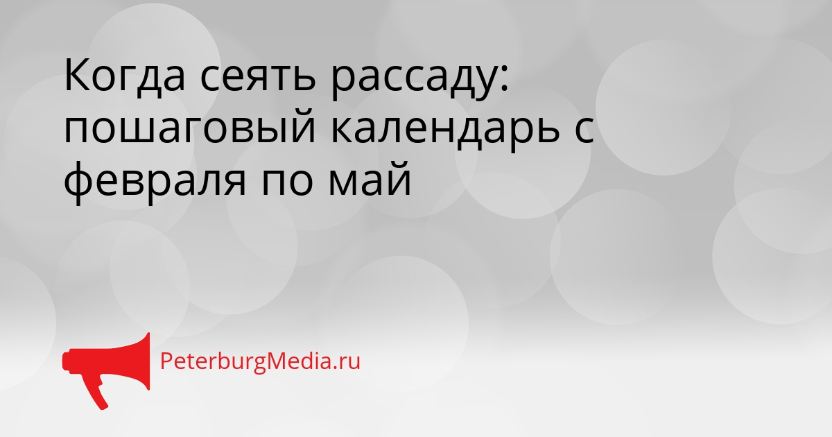 Когда сеять рассаду: пошаговый календарь с февраля по май Сгенерировано