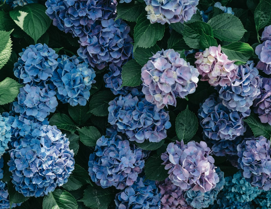 Тематическое фото Unsplash.com (18+)