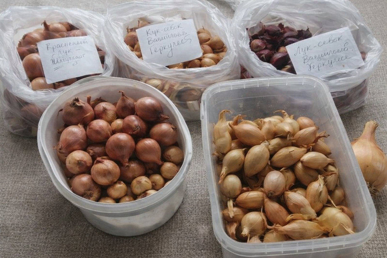 Тематическое фото сгенерировано ИИ Qwenlm.ai (18+)