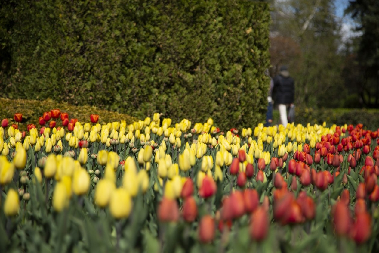 Тематическое фото ИА OmskMedia