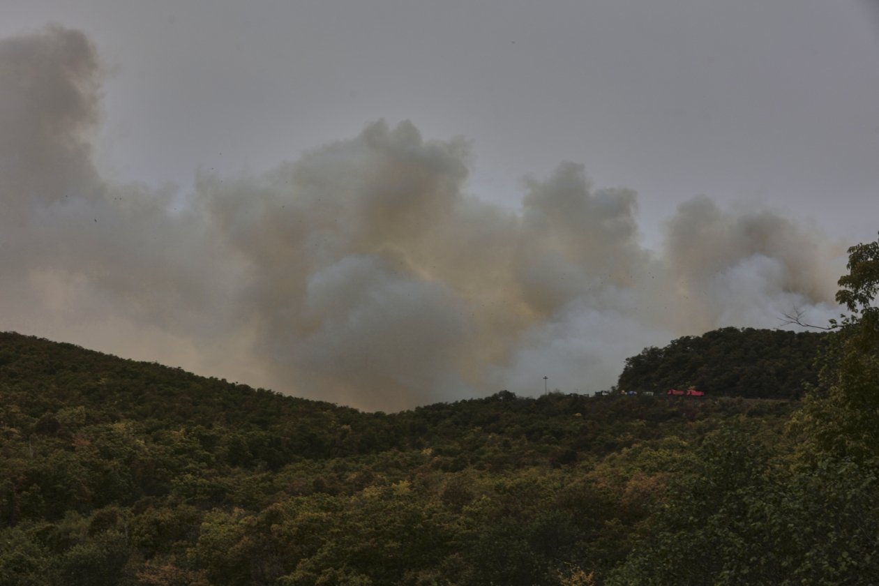 Реконструкция мусорного полигона в Новороссийске требует сноса половины свалки Дмитрий Осипчук