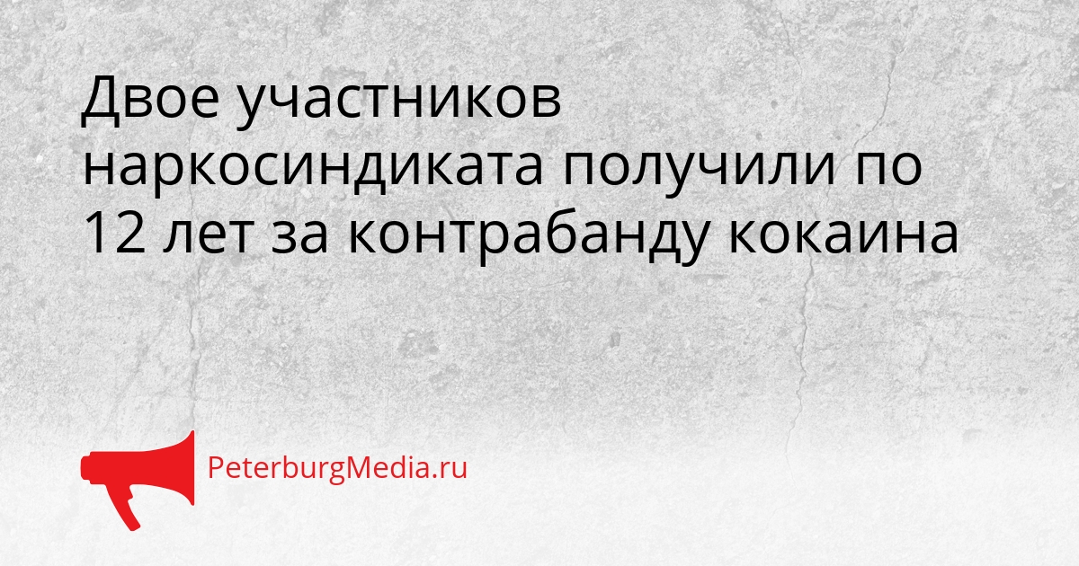 Двое участников наркосиндиката получили по 12 лет за контрабанду кокаина Сгенерировано
