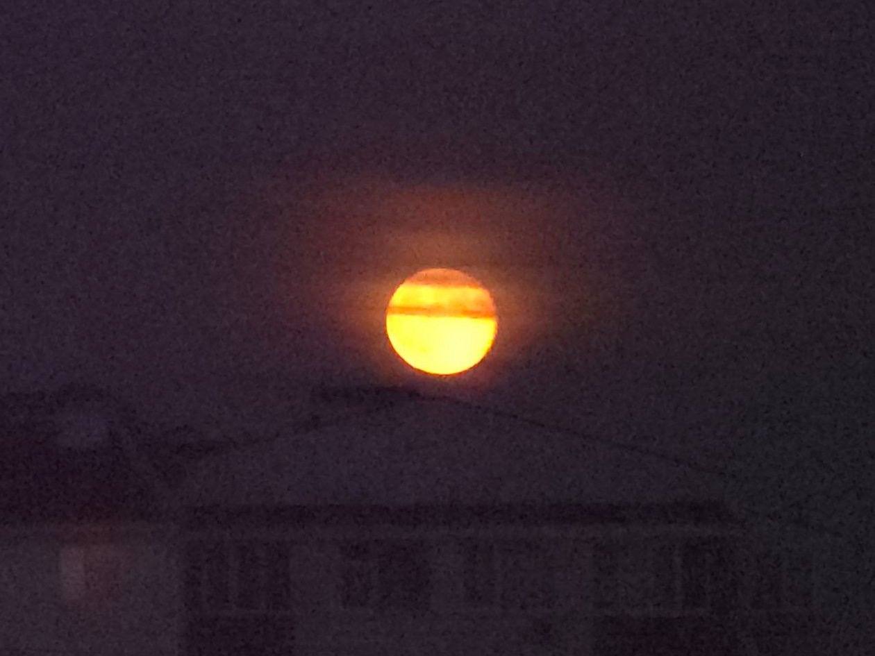 ИА SevastopolMedia