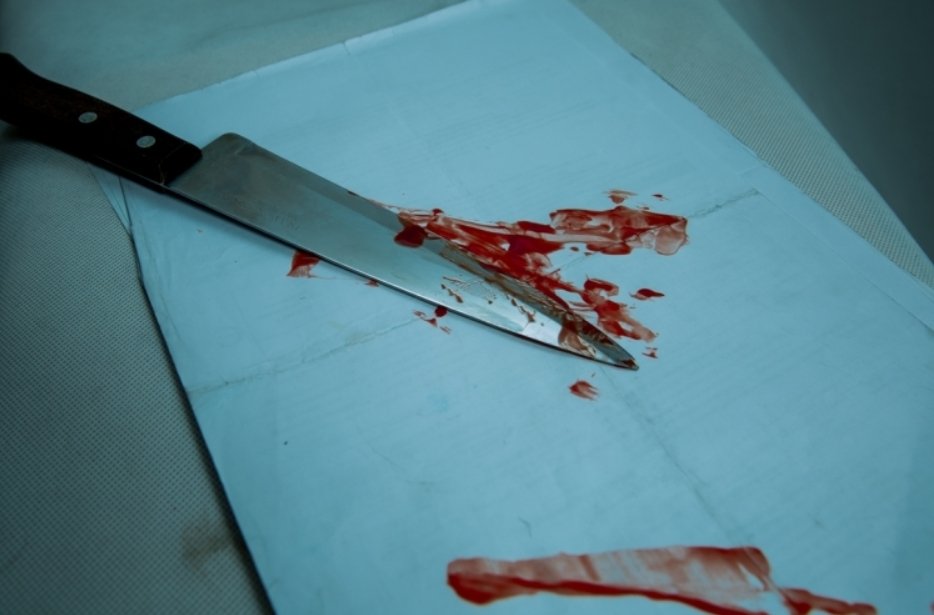 Тематическое фото ИА PrimaMedia