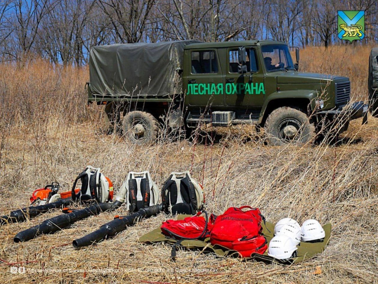 Первый лесной пожар ликвидирован в Приморье Tg-канал (18+) Минприроды Приморье