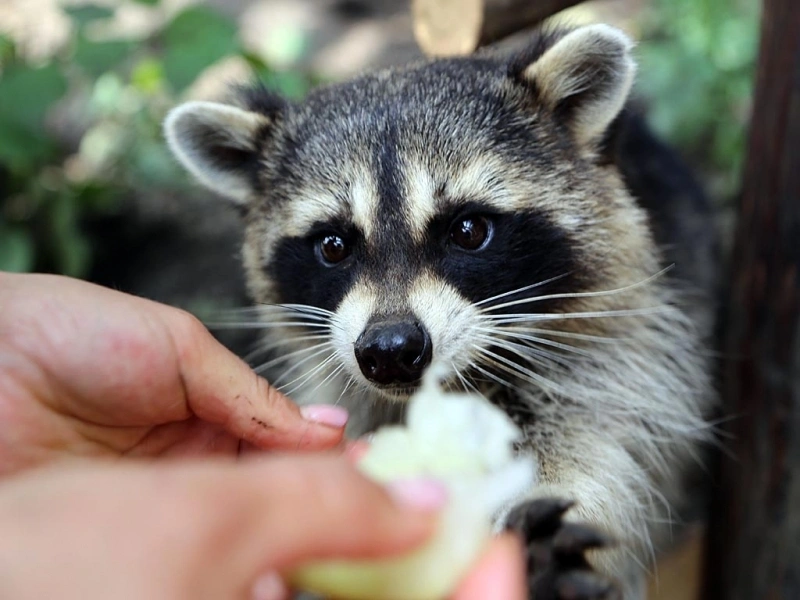 Тематическое фото ИА PrimaMedia