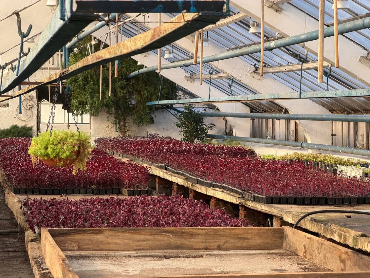 пресс-служба администрации Благовещенска