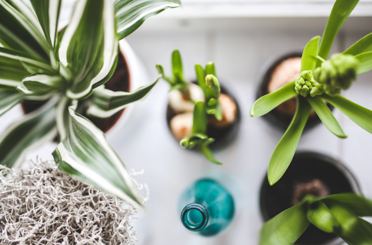 Тематическое фото pxhere (18+)