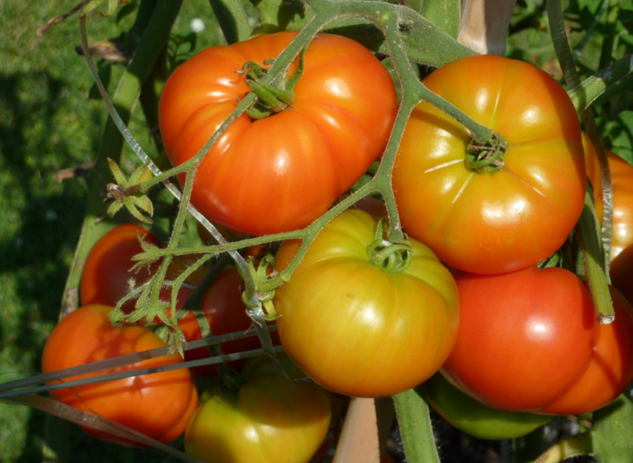 Тематическое фото pxhere (18+)