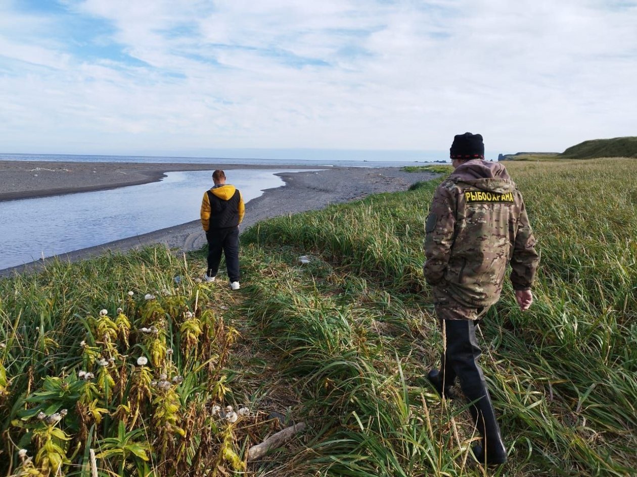 Житель Северо-Курильска оштрафован за незаконный вылов горбуши пресс-служба прокуратуры Сахалинской области