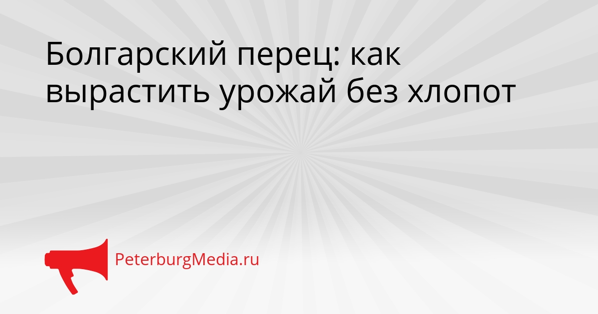 Болгарский перец: как вырастить урожай без хлопот Сгенерировано
